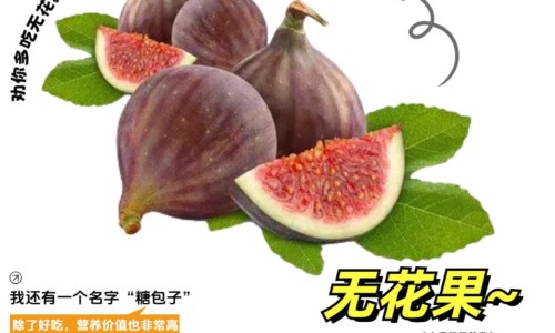 获苓的副作用及禁忌-获苓的功效作用及禁忌网 | 获苓功效图片展示,获苓40g的神奇功效与作用